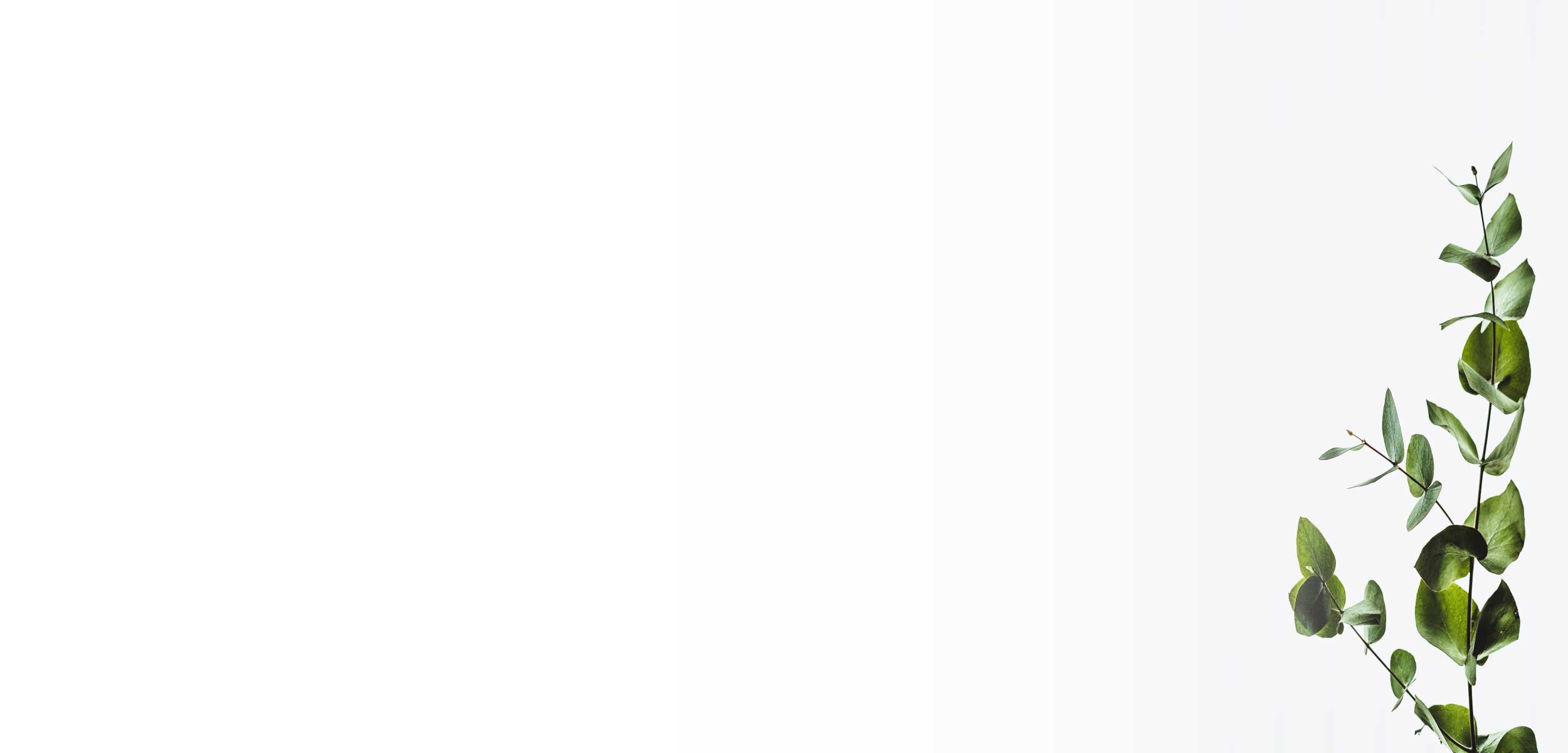 cbt-online-banner-2.jpg