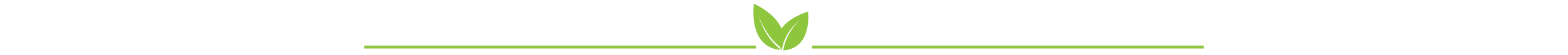 Divider-light-green.png