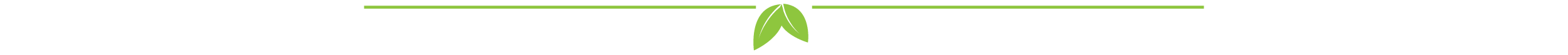 Divider-light-green2.png